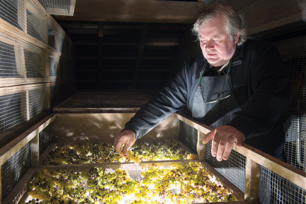 Vins Vigneron François Mossu Mossu-0007